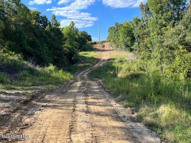 Judkins Road, Yazoo City, Mississippi image 12