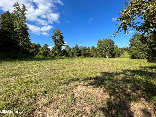 Judkins Road, Yazoo City, Mississippi image 10