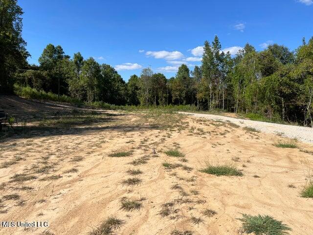 Judkins Road, Yazoo City, Mississippi image 7