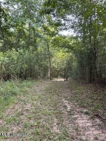 Judkins Road, Yazoo City, Mississippi image 5