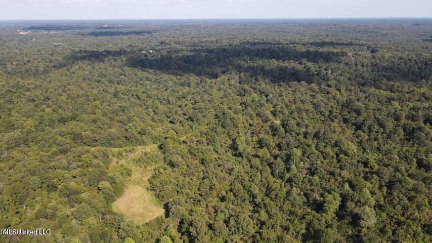 Judkins Road, Yazoo City, Mississippi image 36