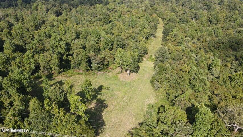 Judkins Road, Yazoo City, Mississippi image 18