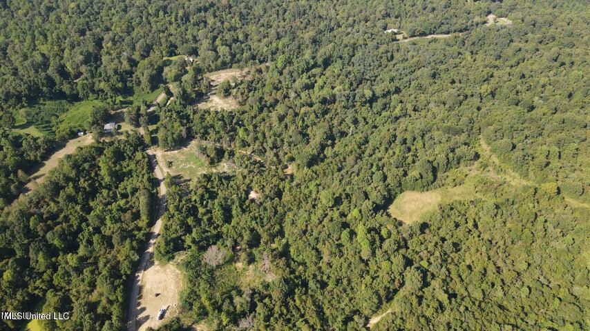 Judkins Road, Yazoo City, Mississippi image 22