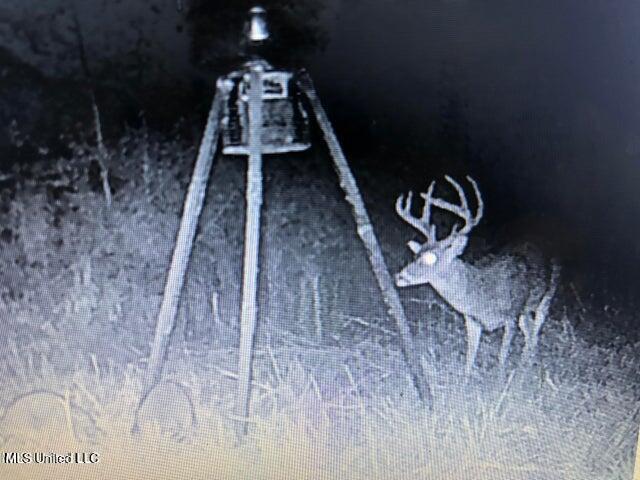 Judkins Road, Yazoo City, Mississippi image 43