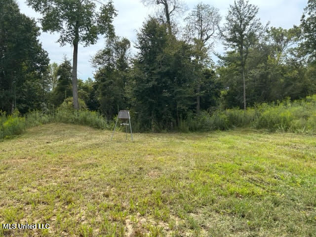 Judkins Road, Yazoo City, Mississippi image 4