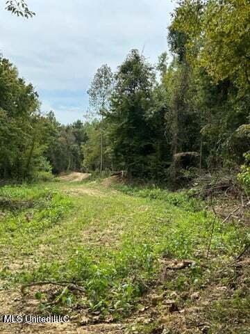Judkins Road, Yazoo City, Mississippi image 3