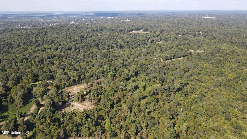 Judkins Road, Yazoo City, Mississippi image 37