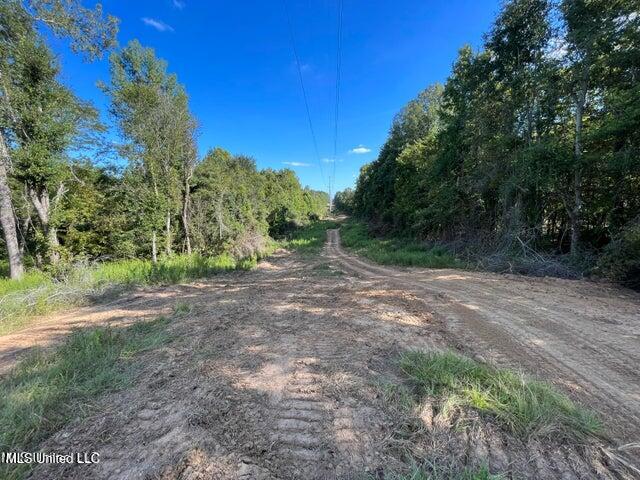 Judkins Road, Yazoo City, Mississippi image 11