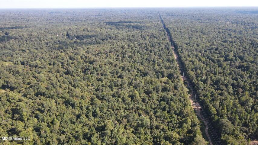 Judkins Road, Yazoo City, Mississippi image 32