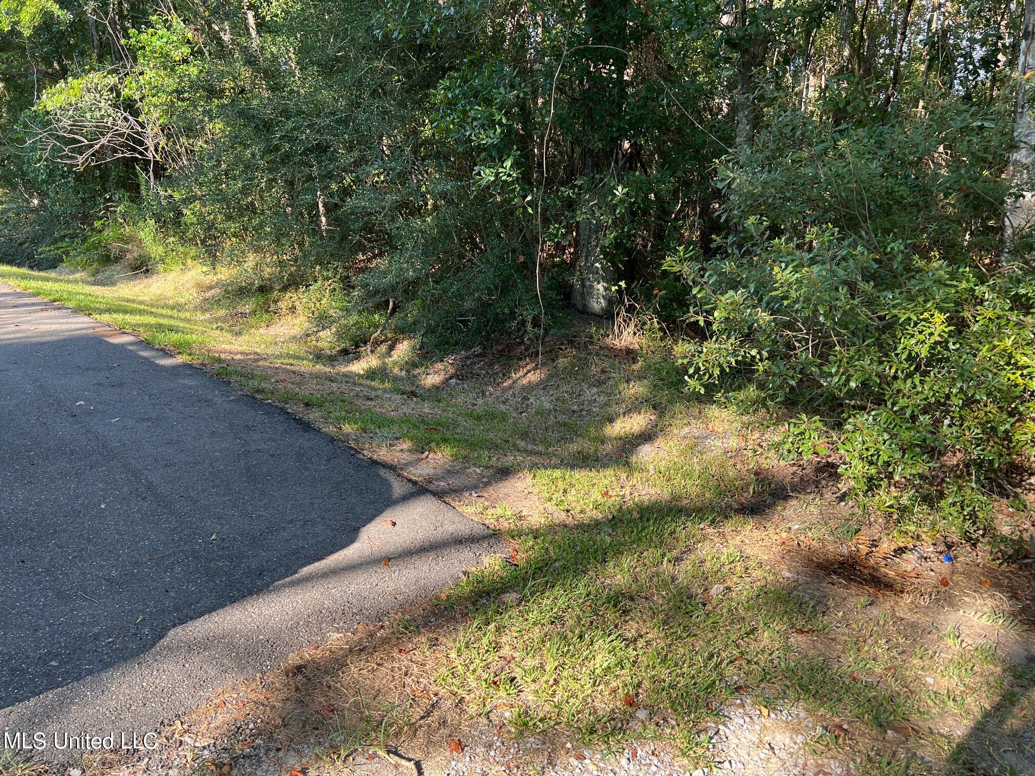 Gwen Avenue, Waveland, Mississippi image 3