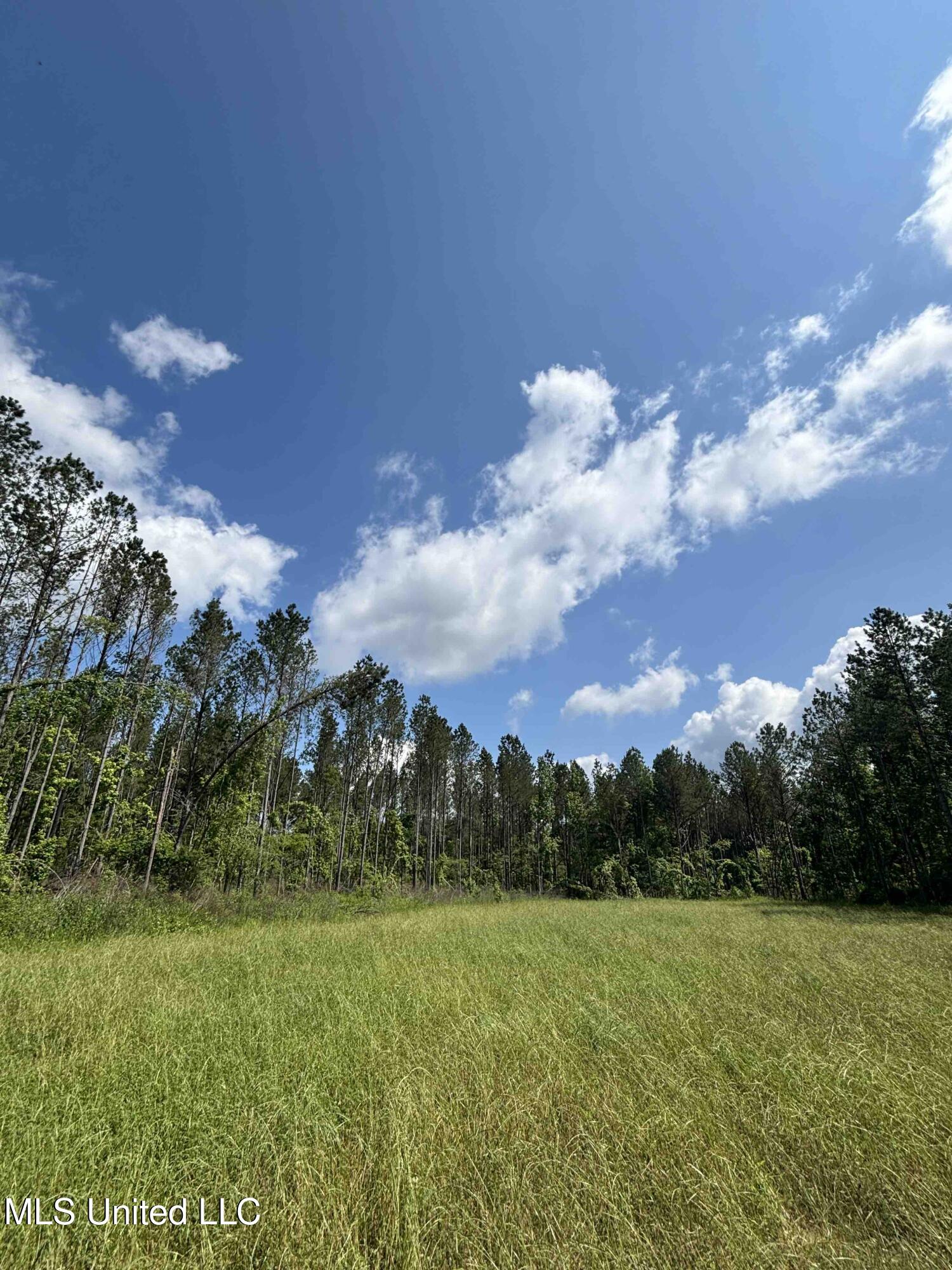 Arenia C. Mallory Road, Lexington, Mississippi image 30