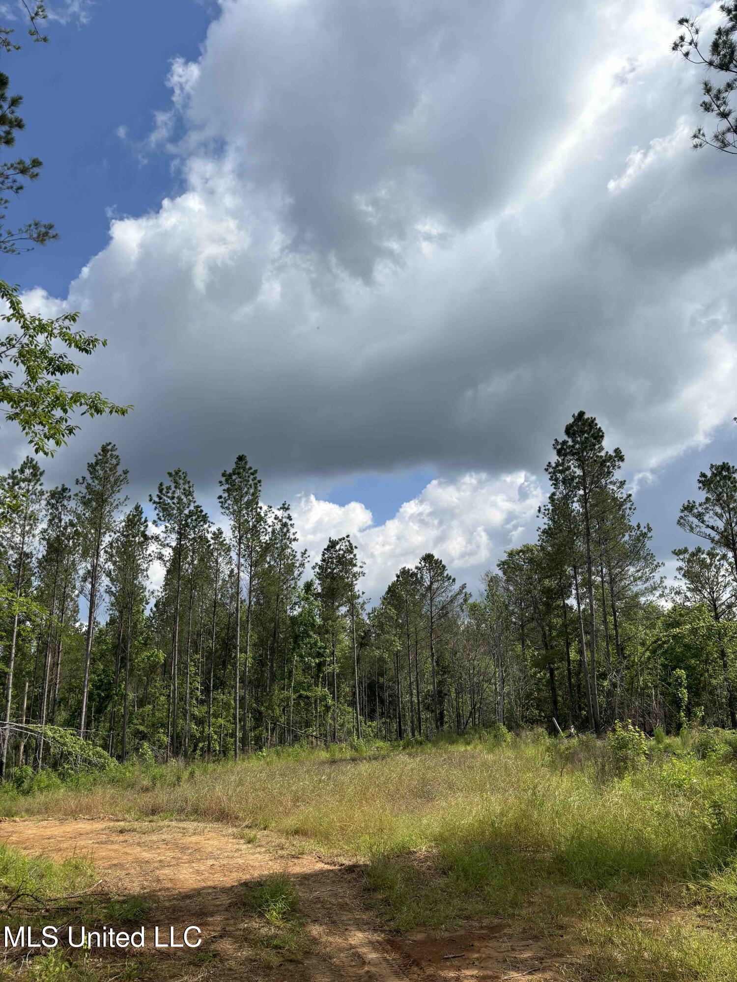 Arenia C. Mallory Road, Lexington, Mississippi image 14