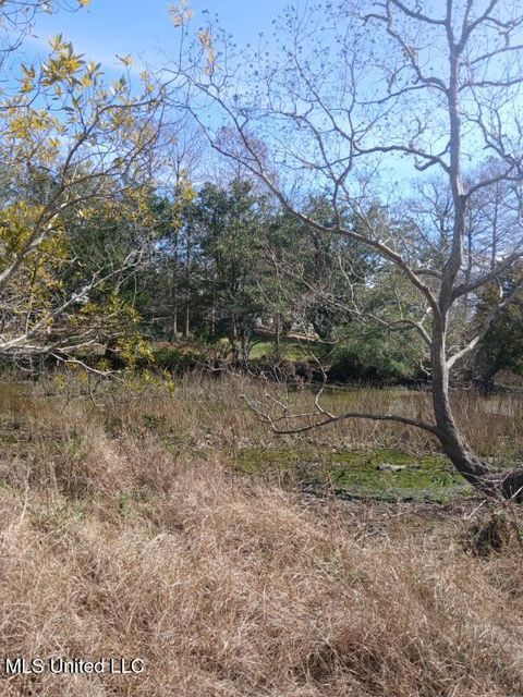 Vacant Land For Sale - Robert Hiram Drive<br/> Gautier, MS 39553