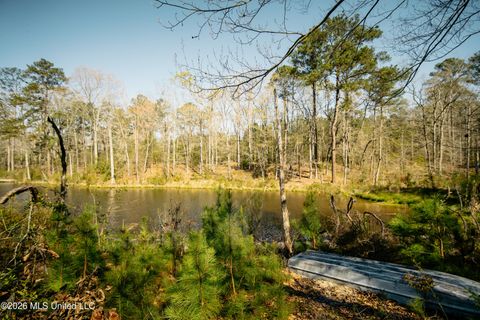 Vacant Land For Sale - 646 Harrisville Road<br/> Braxton, MS 39044