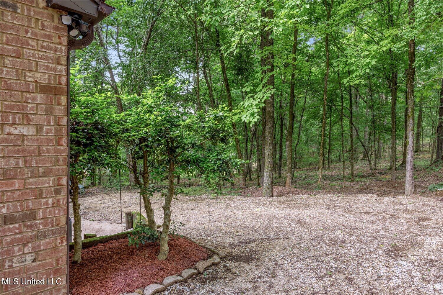 6821 Autumn Oaks Drive, Olive Branch, Mississippi image 33