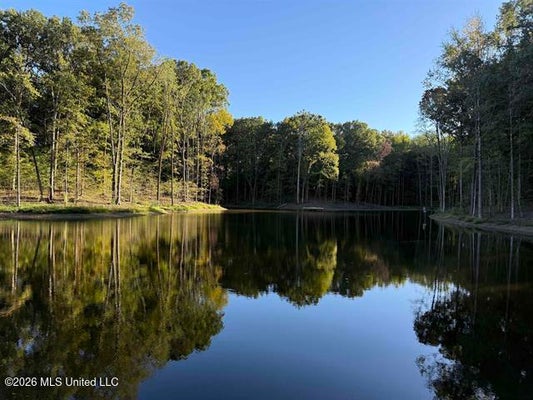 9171 COLLIERVILLE ARLINGTON RD, ARLINGTON, TN 38002 - Image a2656af6c8ce14ea46997d8ad94ca9e1/3753022291