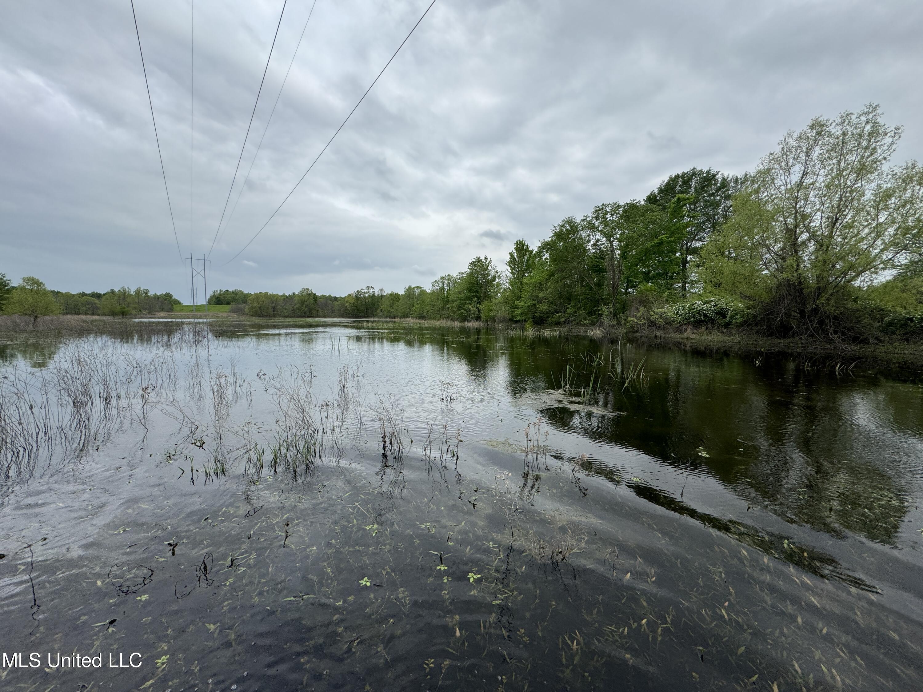 1400 County Road 246, Sidon, Mississippi image 44