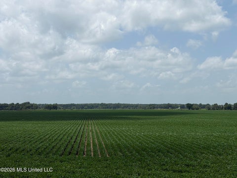 Vacant Land For Sale - Hot Thornton Road<br/> Tunica, MS 38676