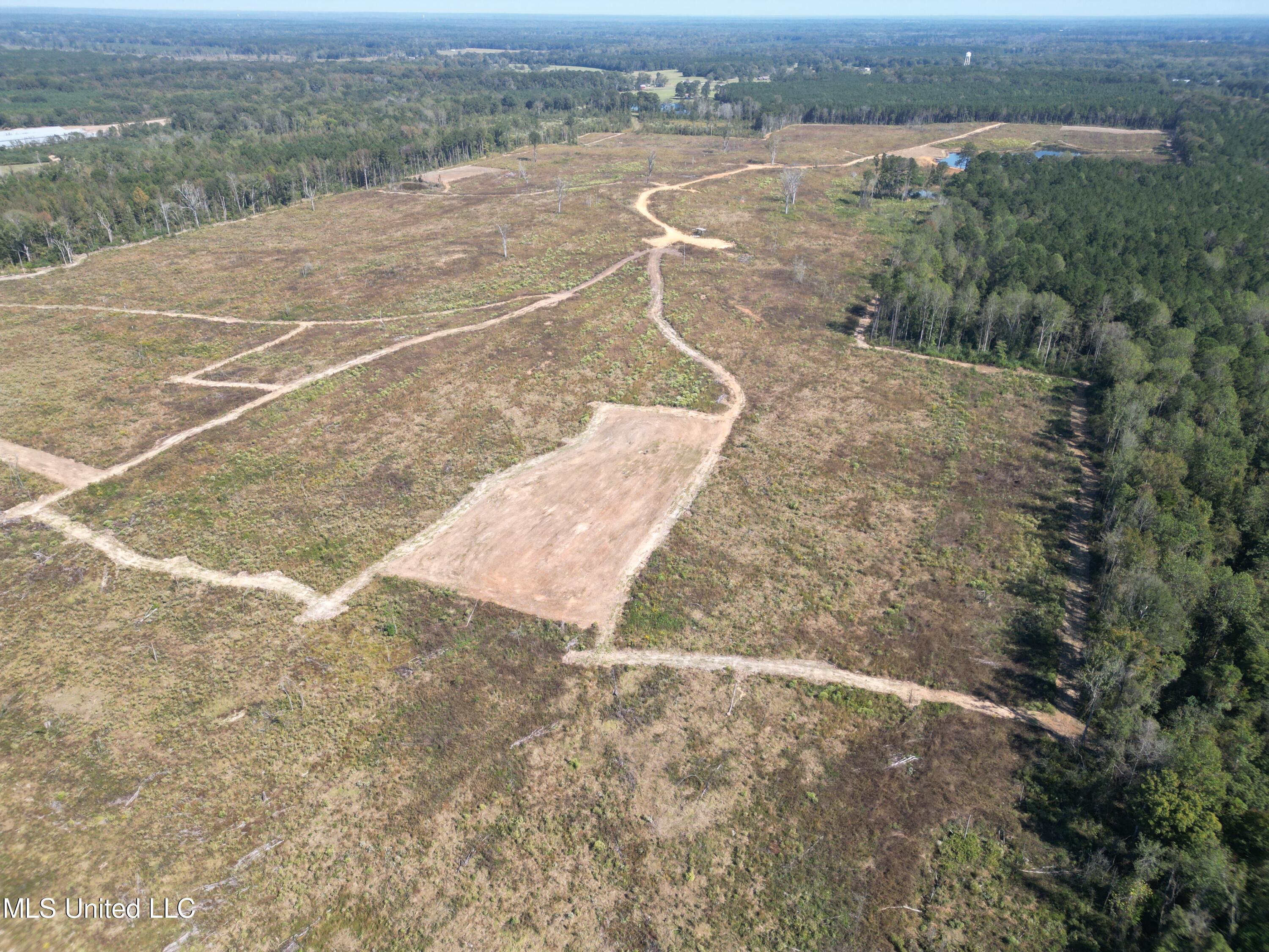 000 Douglas Lane, Forest, Mississippi image 27