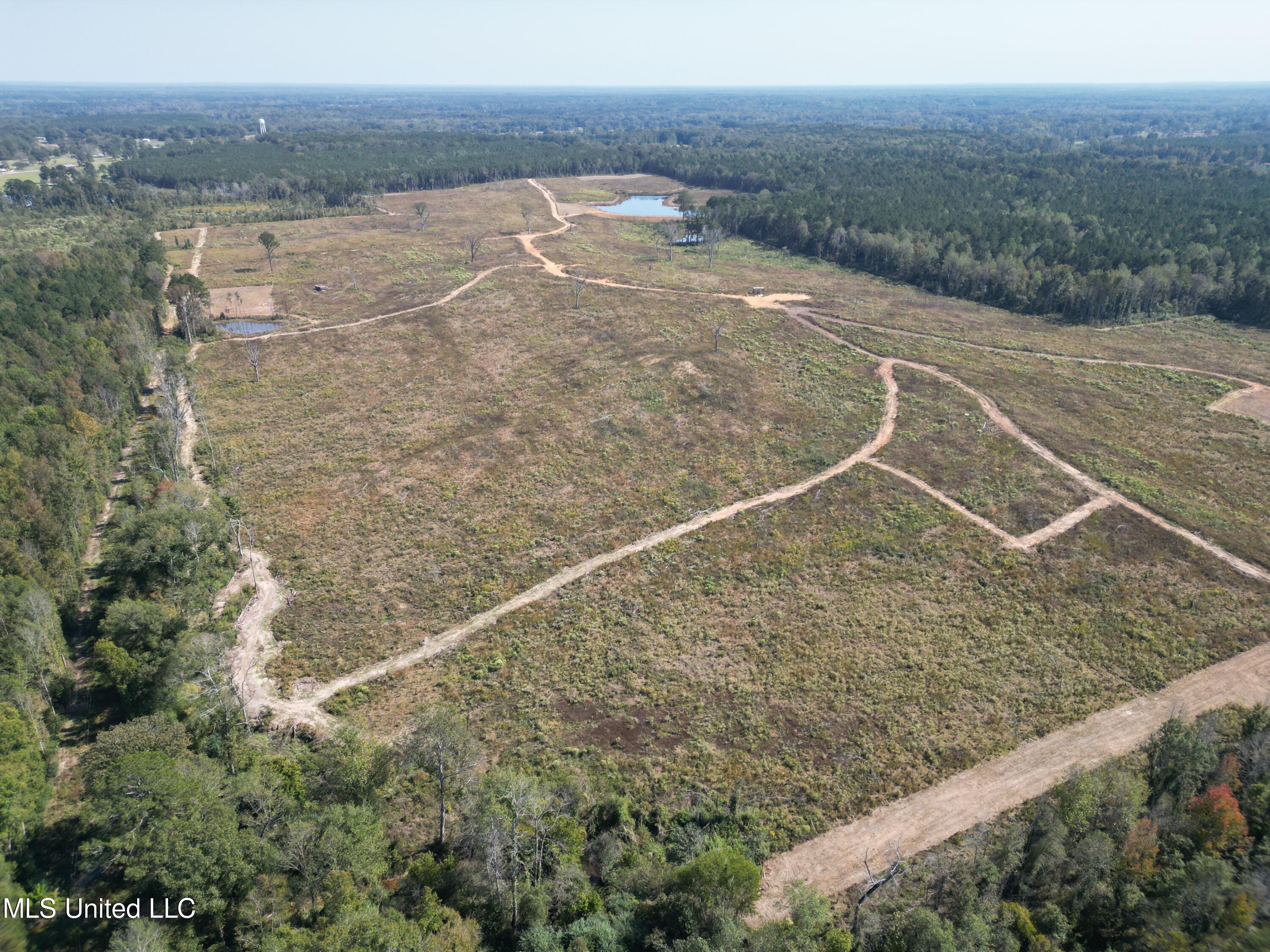 000 Douglas Lane, Forest, Mississippi image 22