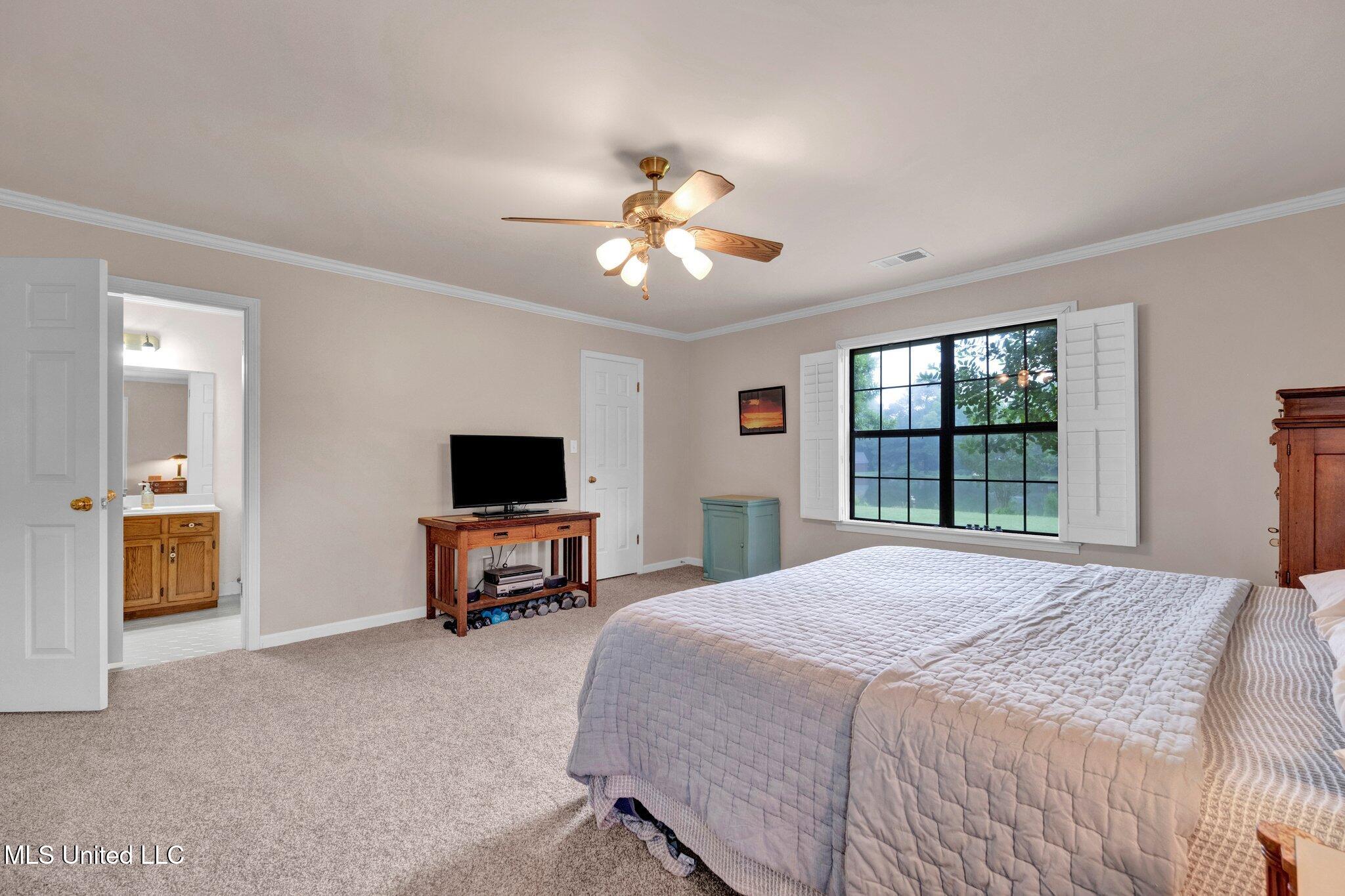 8140 Hunters Hill Cove, Olive Branch, Mississippi image 28