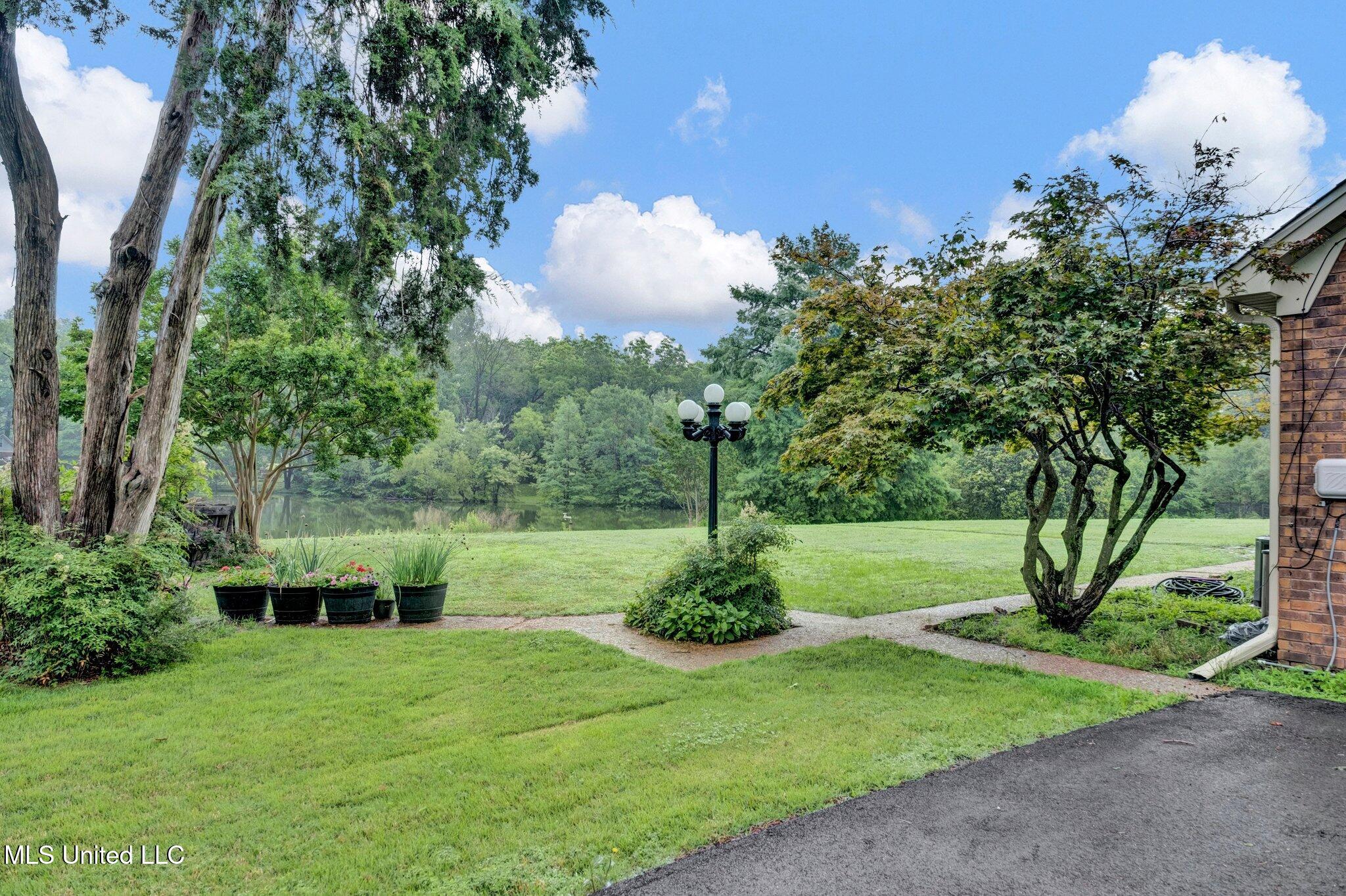 8140 Hunters Hill Cove, Olive Branch, Mississippi image 43