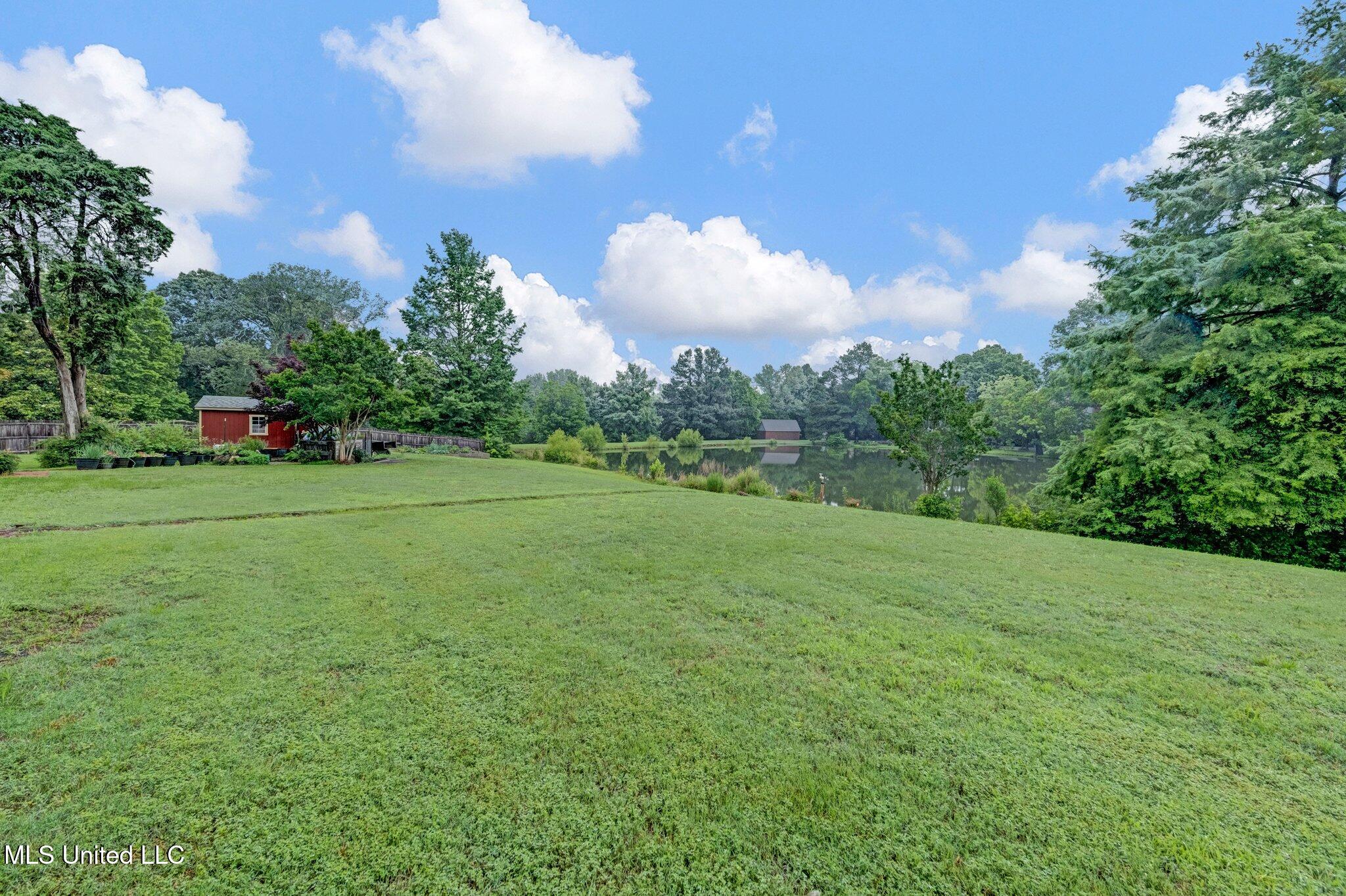 8140 Hunters Hill Cove, Olive Branch, Mississippi image 41