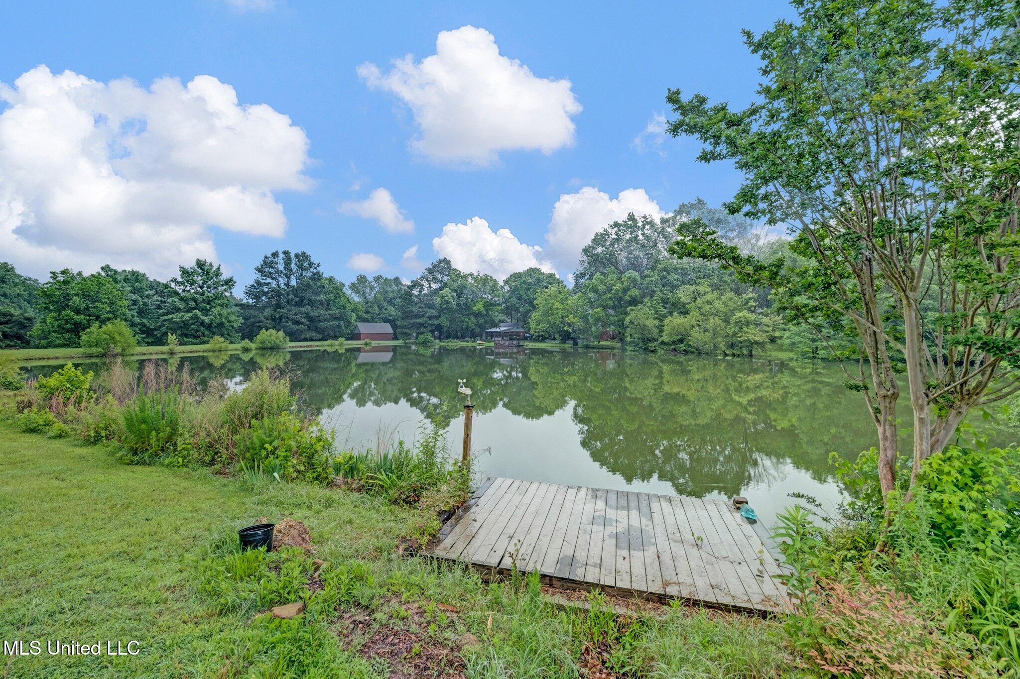 8140 Hunters Hill Cove, Olive Branch, Mississippi image 44