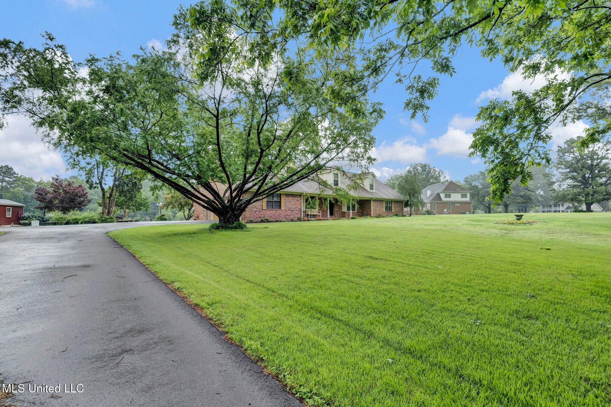 8140 Hunters Hill Cove, Olive Branch, Mississippi image 6