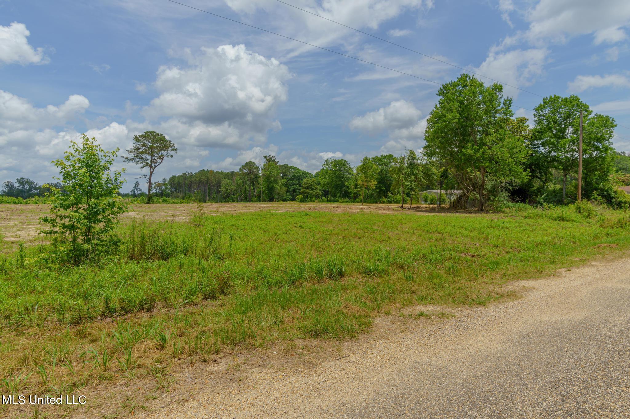 Ross Trail, Prentiss, Mississippi image 11