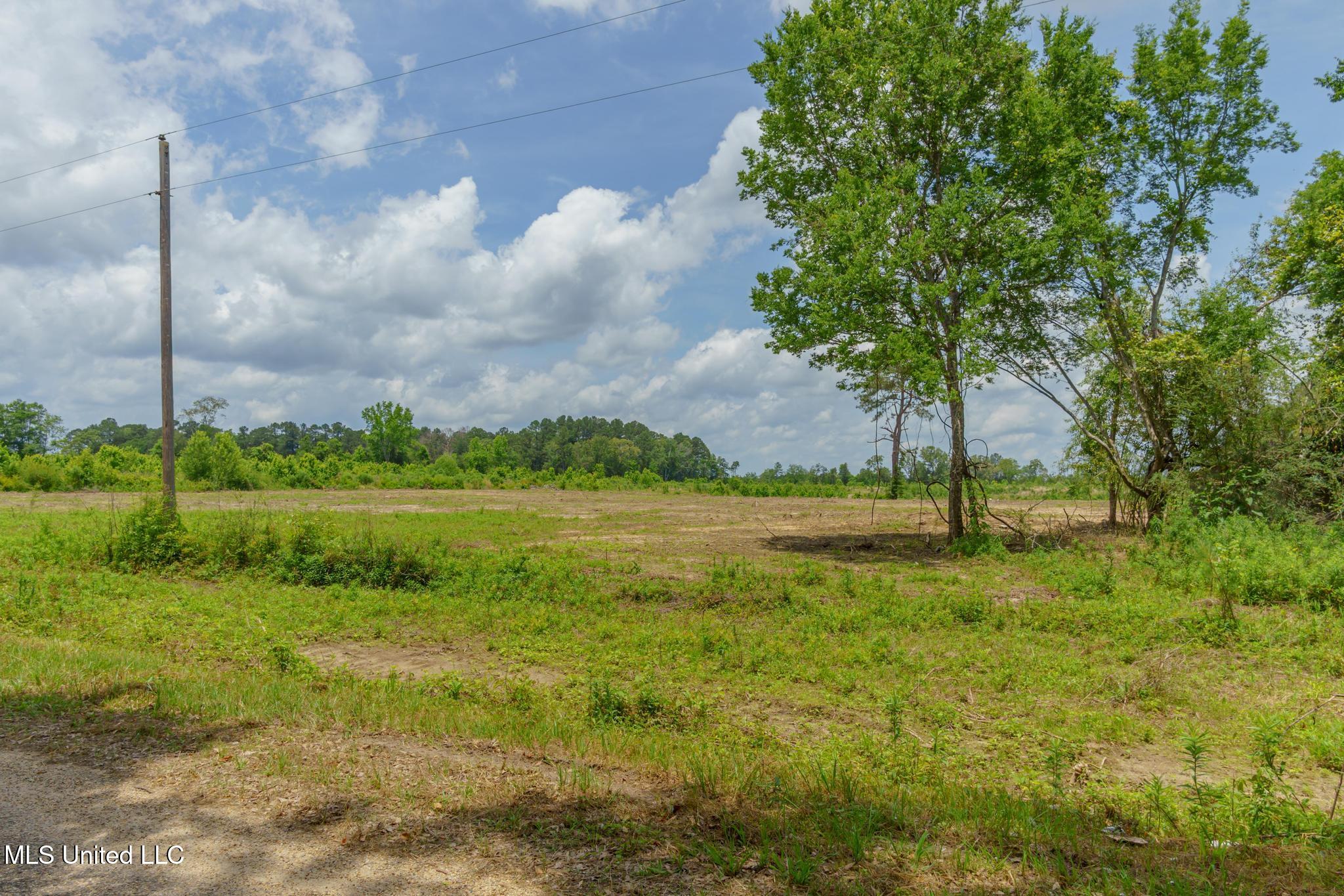 Ross Trail, Prentiss, Mississippi image 12