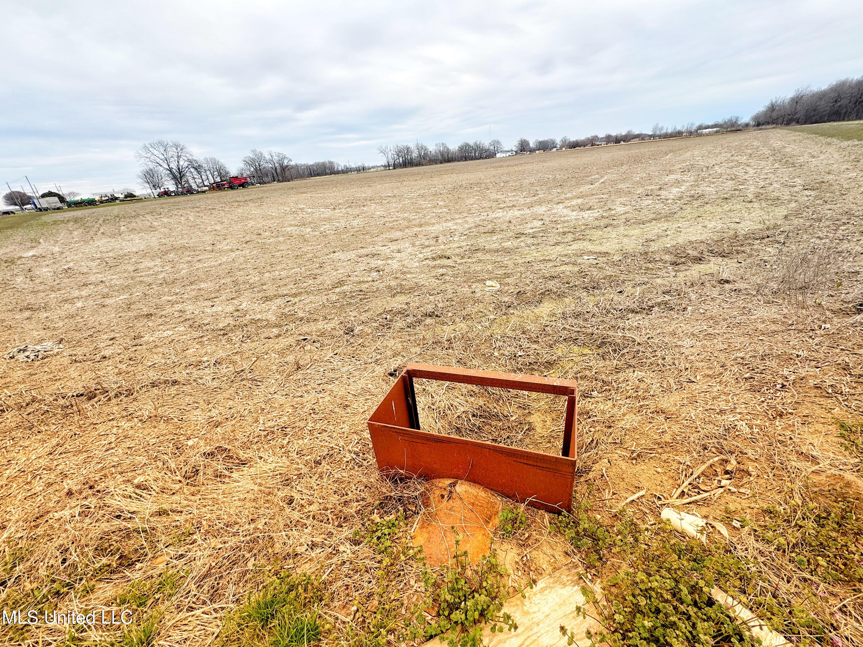 Mcwimus Road, Merigold, Mississippi image 12