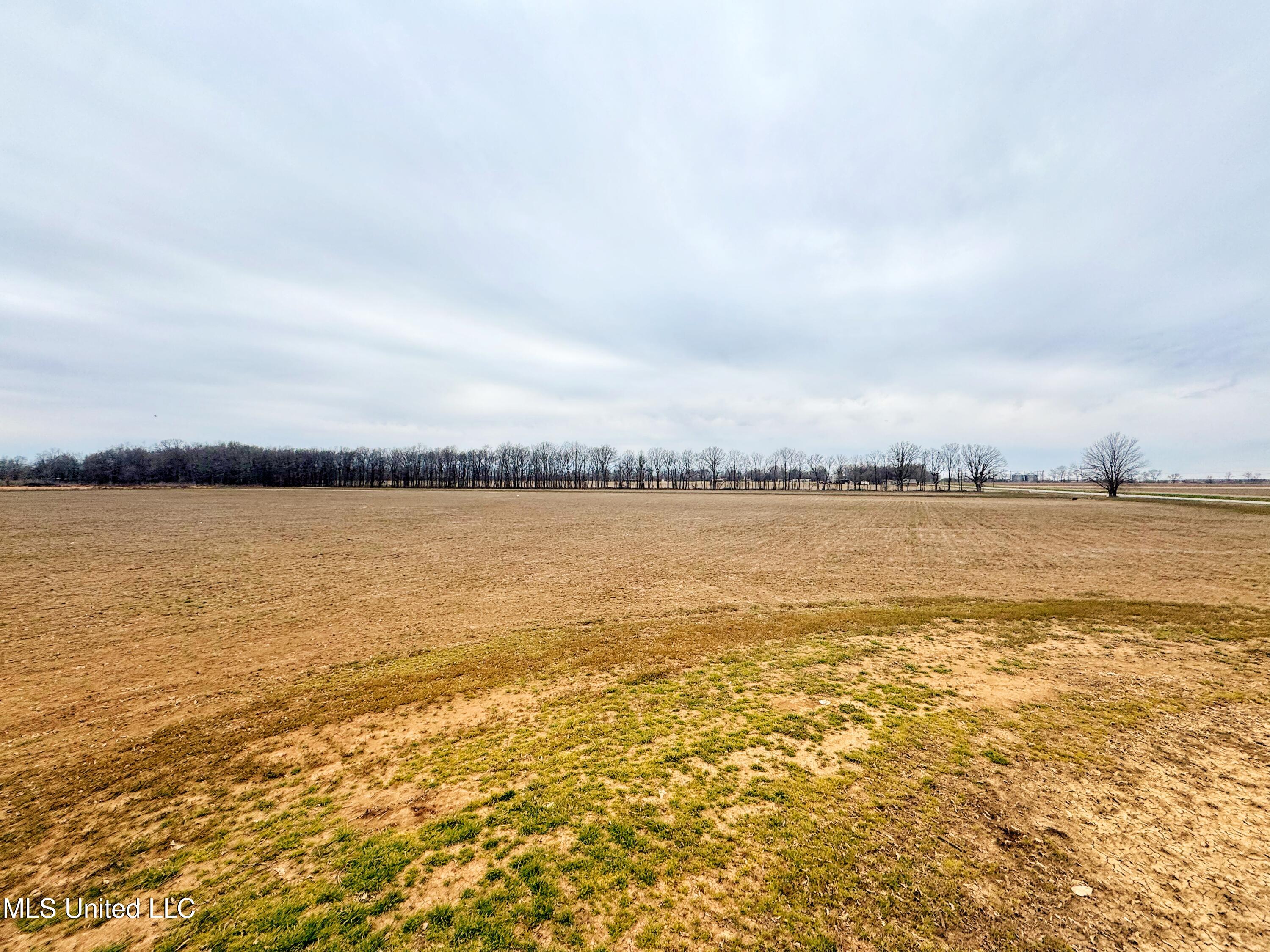 Mcwimus Road, Merigold, Mississippi image 7