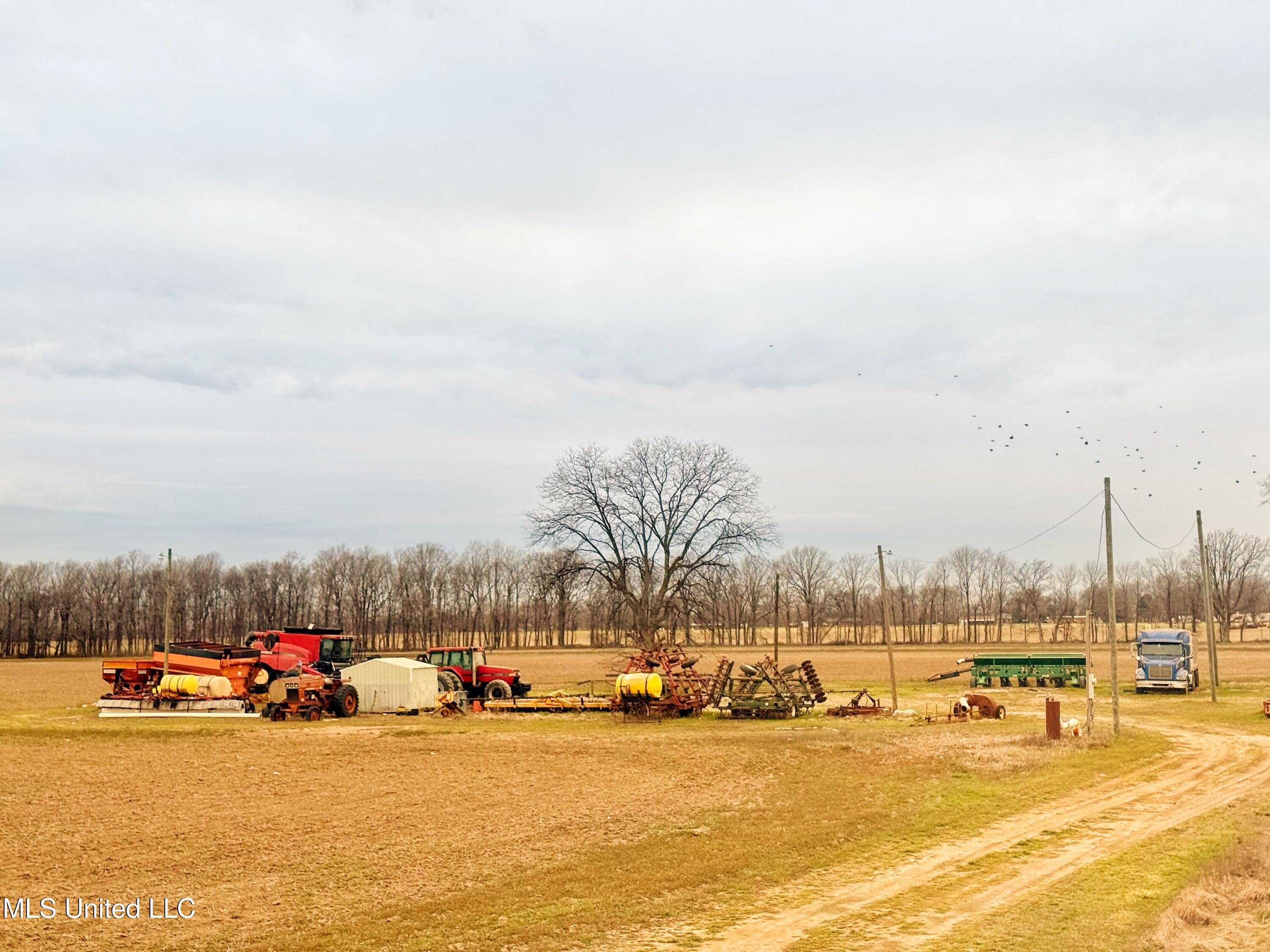 Mcwimus Road, Merigold, Mississippi image 3