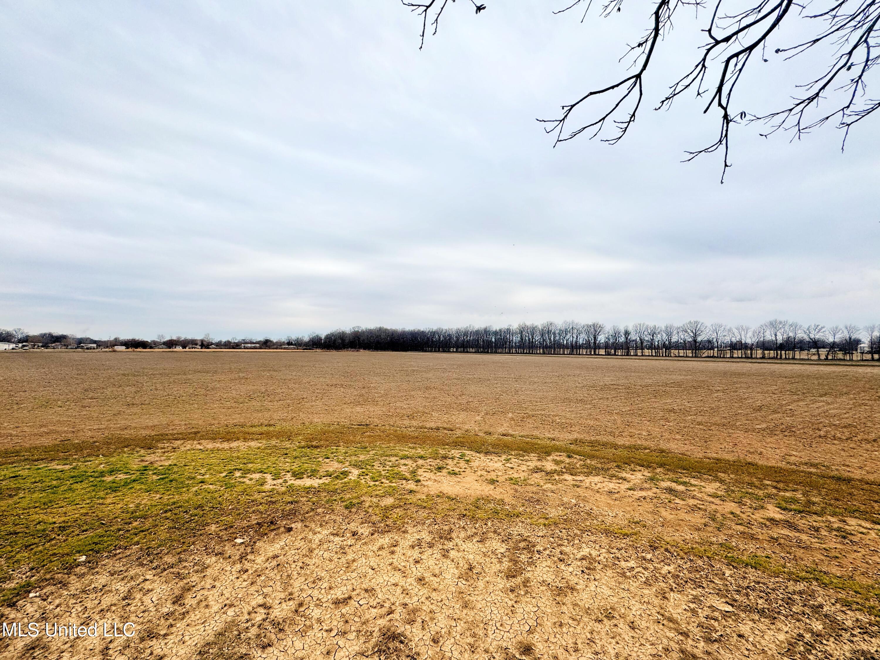 Mcwimus Road, Merigold, Mississippi image 4