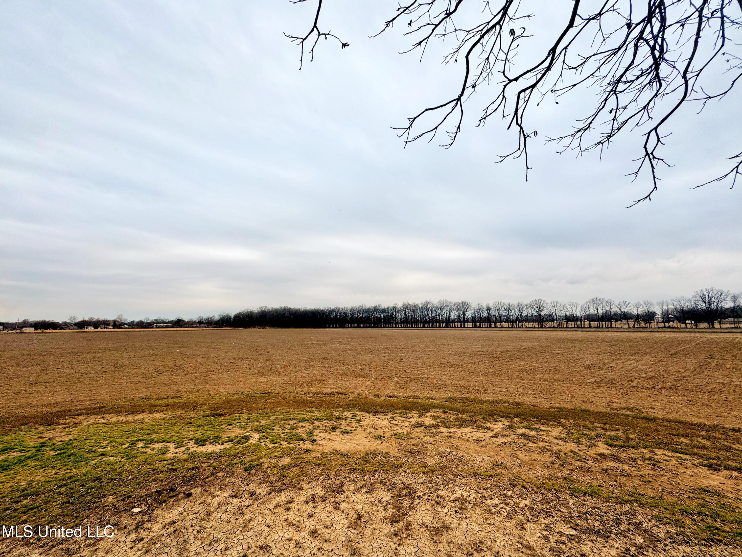 Mcwimus Road, Merigold, Mississippi image 10