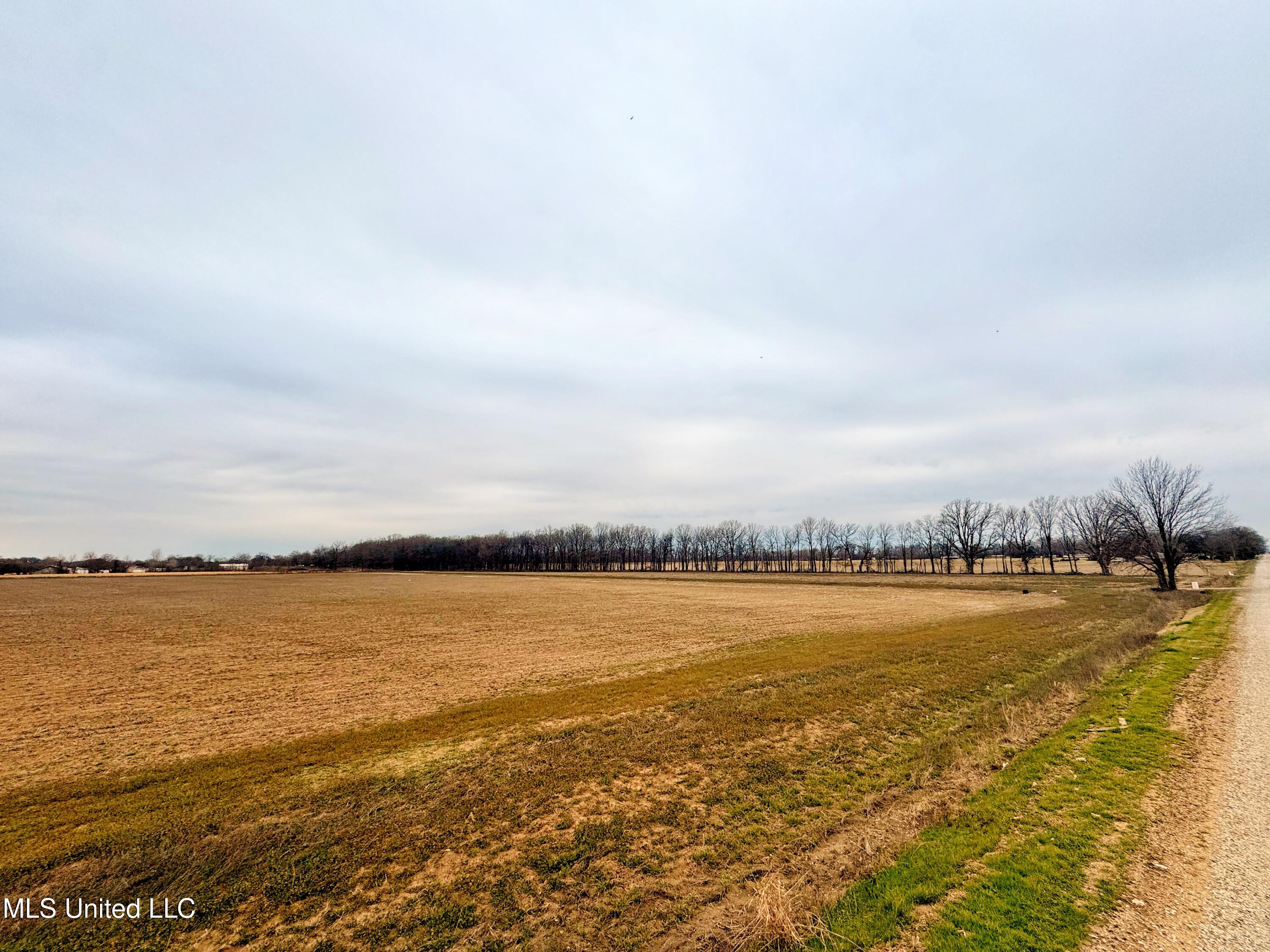 Mcwimus Road, Merigold, Mississippi image 6