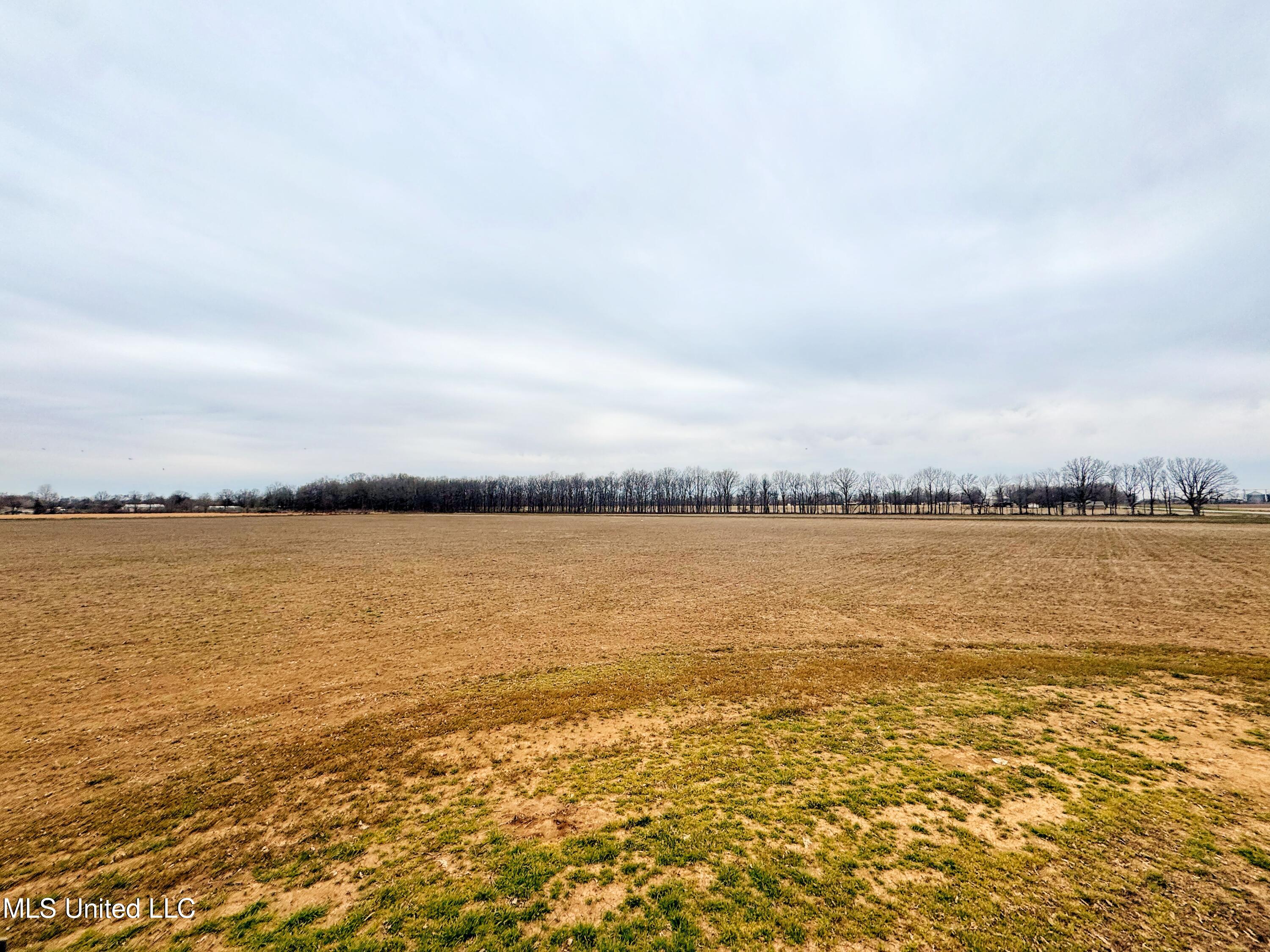 Mcwimus Road, Merigold, Mississippi image 9