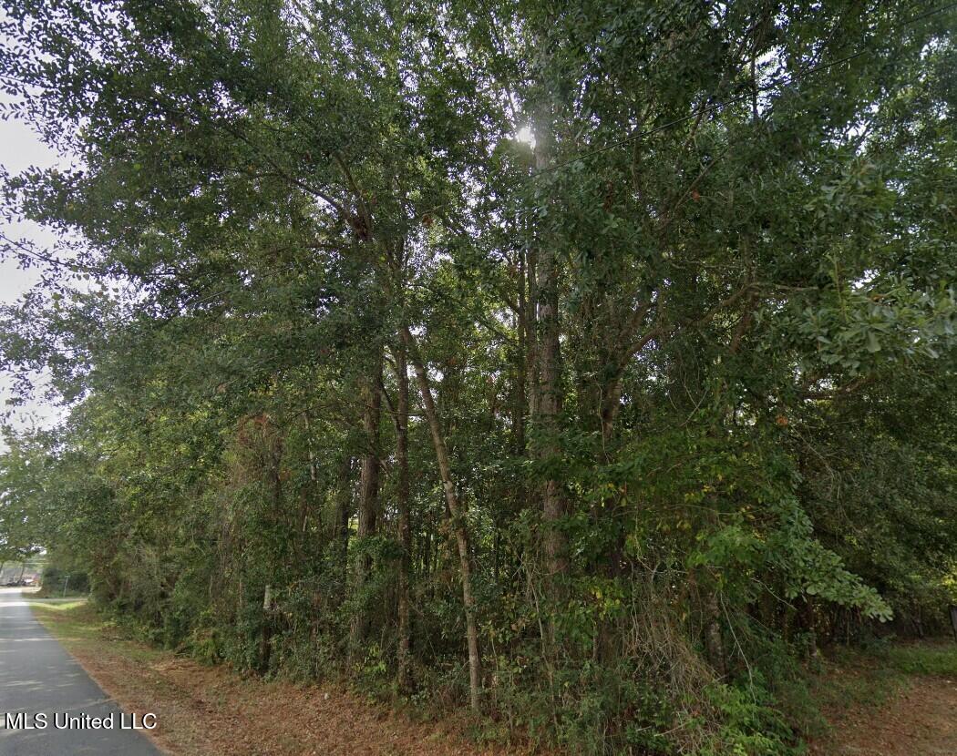 Bonita Road, Gautier, Mississippi image 1