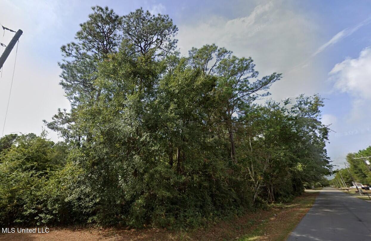 Bonita Road, Gautier, Mississippi image 2