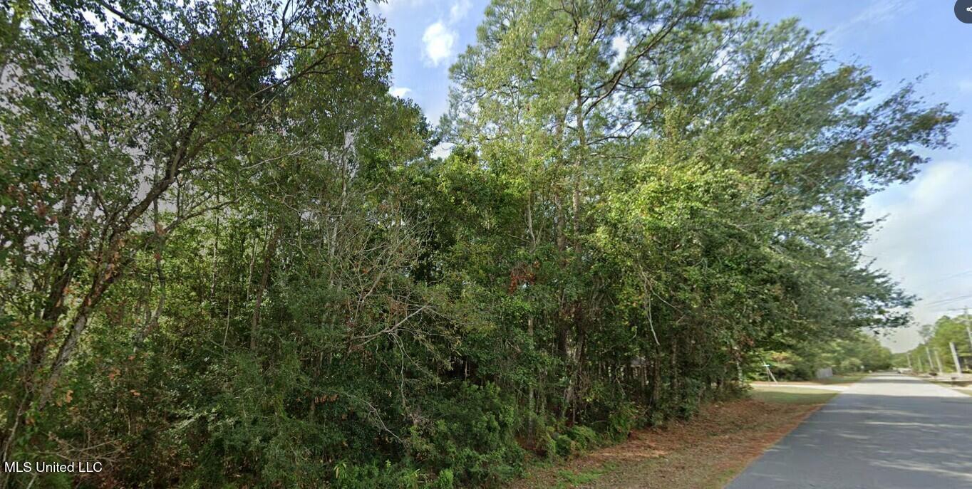 Bonita Road, Gautier, Mississippi image 3