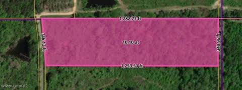 Vacant Land For Sale - N Lela Drive<br/> Pike County, Magnolia, MS 39652