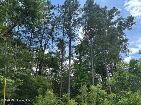 Vacant Land For Sale - N Lela Drive<br/> Magnolia, MS 39652