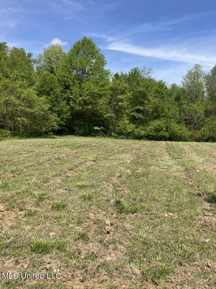 Lot 9 Wiseman Drive, Olive Branch, Mississippi image 1