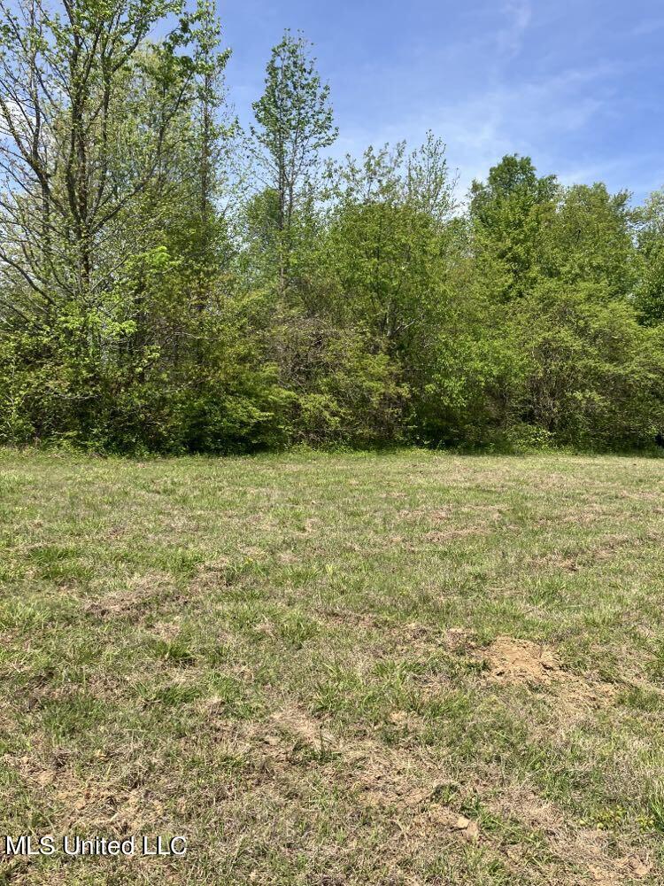 Lot 9 Wiseman Drive, Olive Branch, Mississippi image 2