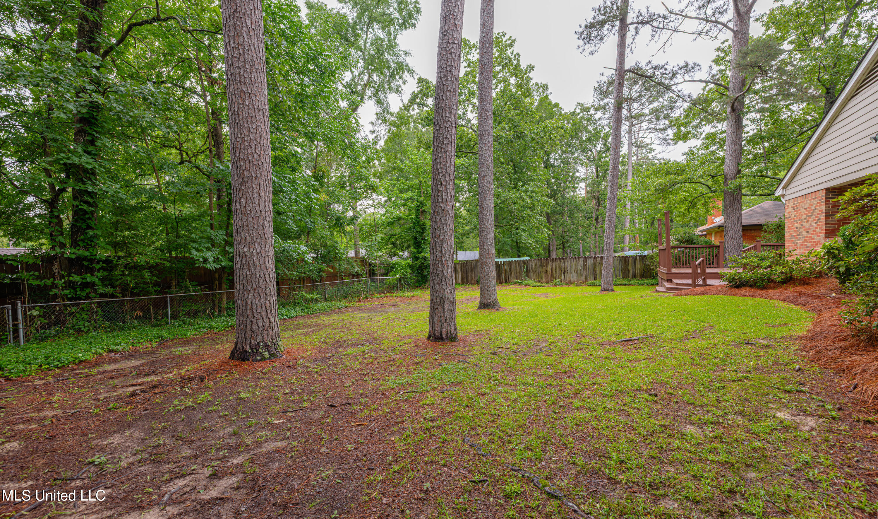 215 Swallow Drive, Brandon, Mississippi image 47