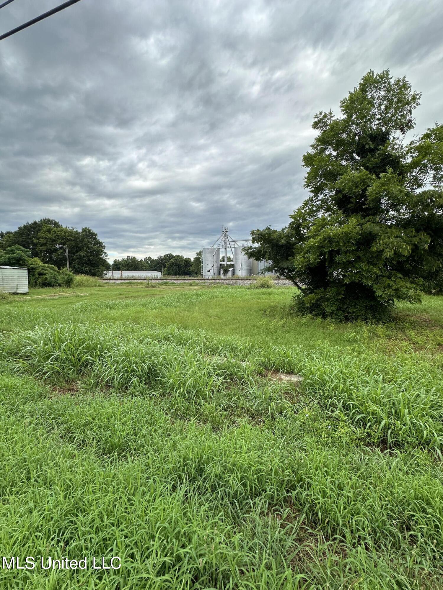 Martin Luther King Drive Drive, Tchula, Mississippi image 3