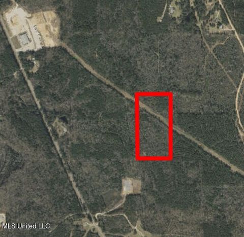Vacant Land For Sale - Ms-528<br/> Jasper County, Heidelberg, MS 39439
