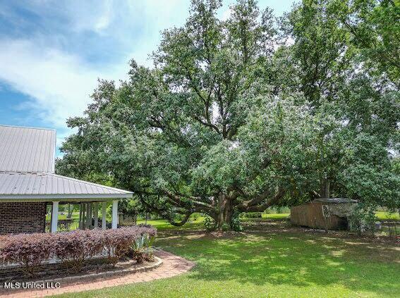 42 Alan Road, Carriere, Mississippi image 5