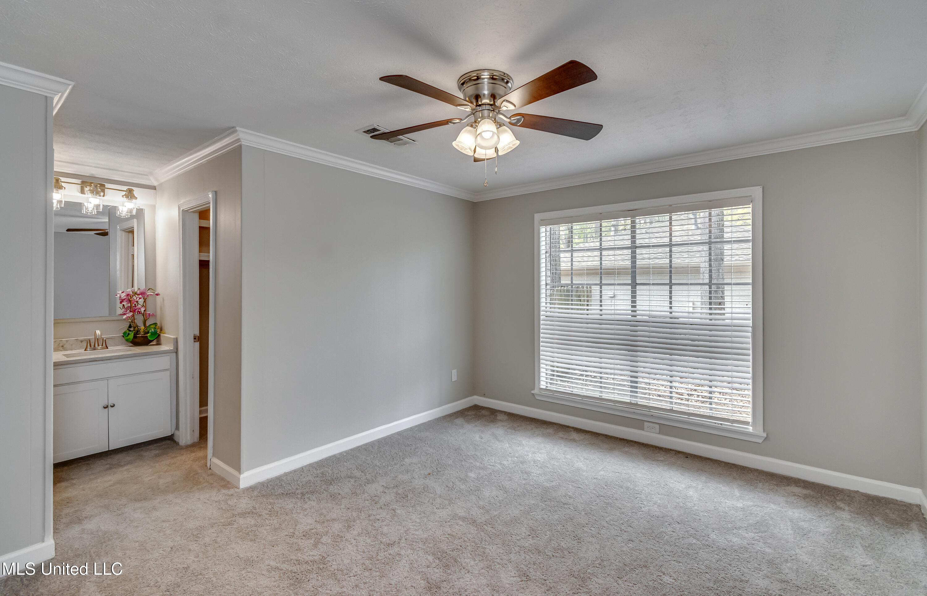 223 Bay Park Drive, Brandon, Mississippi image 48